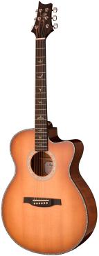 SE A50E VS VINTAGE SUNBURST