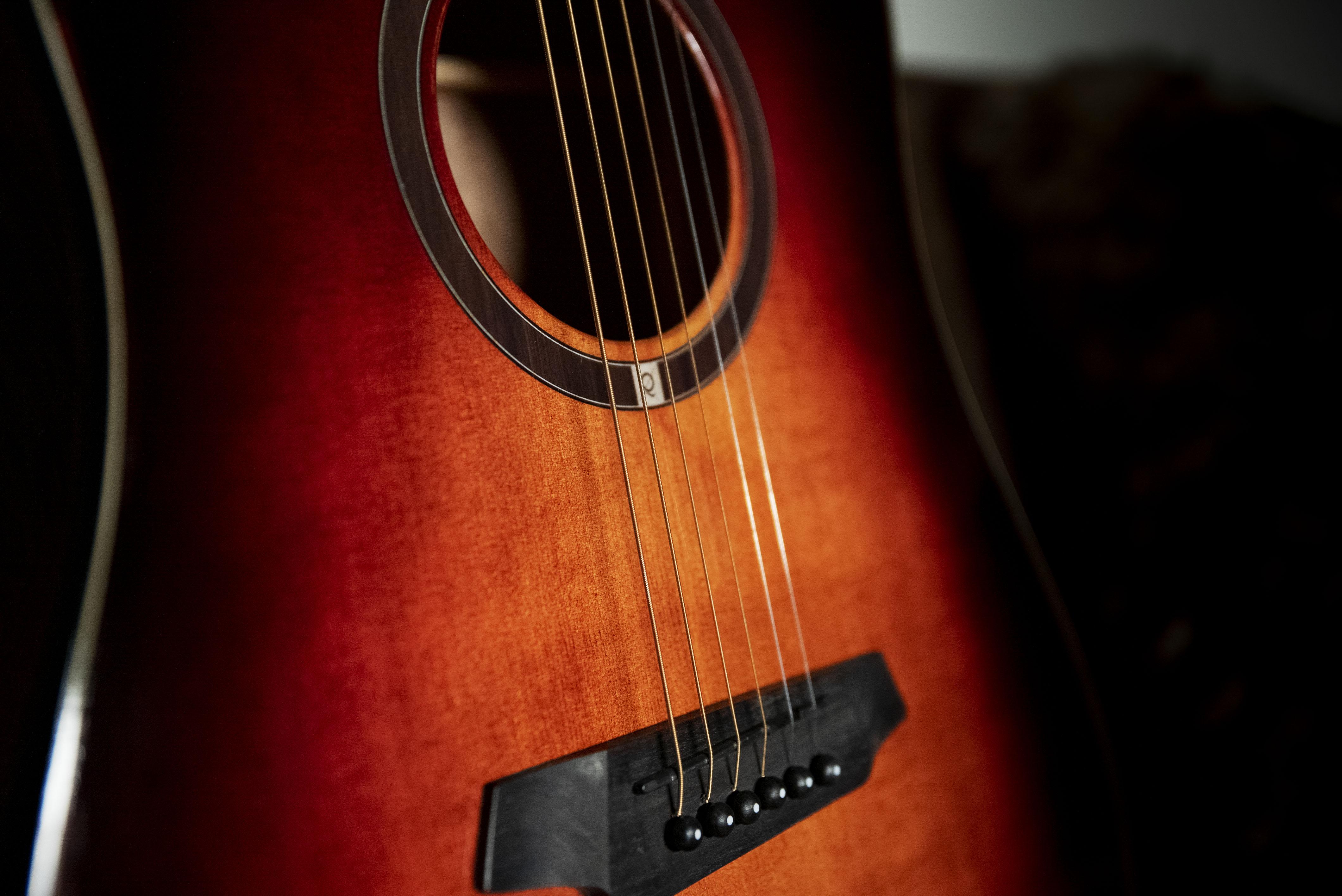 QGA-100CE SBG (PREAMP)